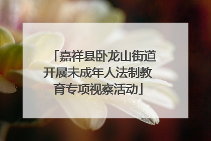 嘉祥县卧龙山街道开展未成年人法制教育专项视察活动