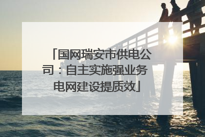 国网瑞安市供电公司：自主实施强业务 电网建设提质效