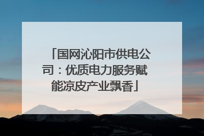 国网沁阳市供电公司：优质电力服务赋能凉皮产业飘香
