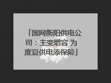 国网衡阳供电公司：主变增容 为度夏供电添保障