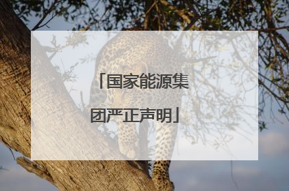 国家能源集团严正声明