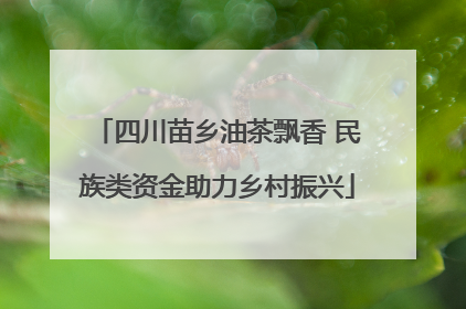 四川苗乡油茶飘香 民族类资金助力乡村振兴