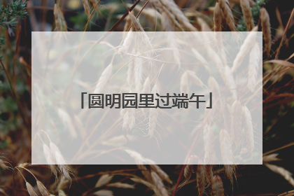 圆明园里过端午