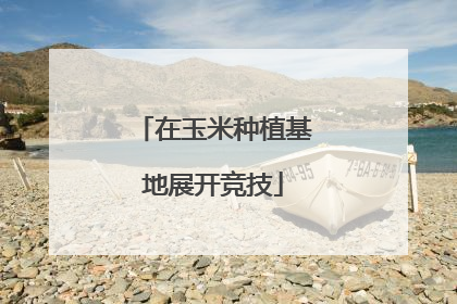 在玉米种植基地展开竞技