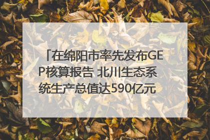 在绵阳市率先发布GEP核算报告 北川生态系统生产总值达590亿元｜新闻发布最前线