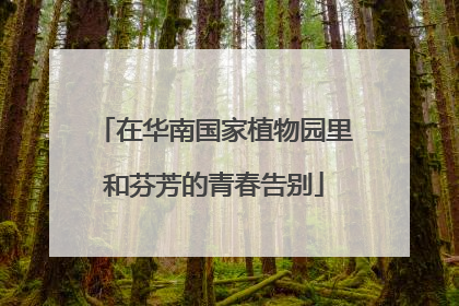 在华南国家植物园里和芬芳的青春告别