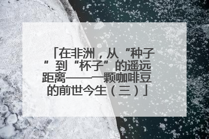 在非洲，从“种子”到“杯子”的遥远距离——一颗咖啡豆的前世今生（三）