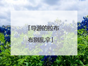 导游的拉布布别乱拿