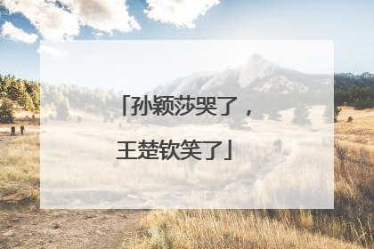 孙颖莎哭了，王楚钦笑了