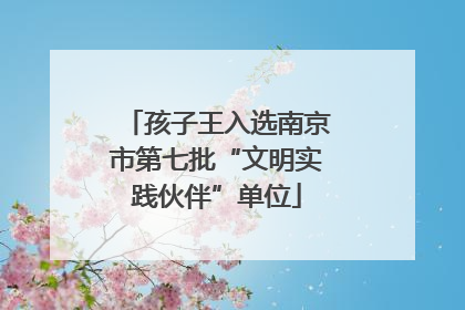 孩子王入选南京市第七批“文明实践伙伴”单位