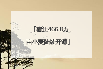 宿迁466.8万亩小麦陆续开镰