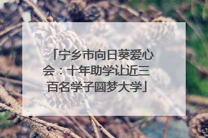 宁乡市向日葵爱心会：十年助学让近三百名学子圆梦大学