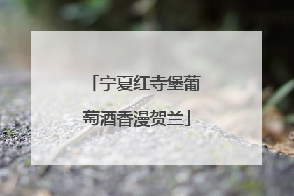 宁夏红寺堡葡萄酒香漫贺兰