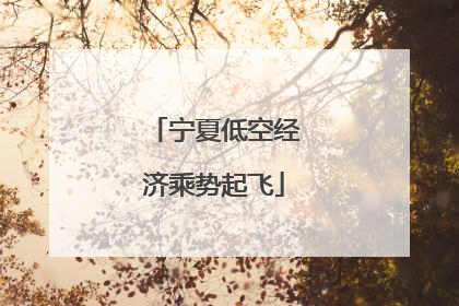宁夏低空经济乘势起飞
