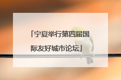 宁夏举行第四届国际友好城市论坛
