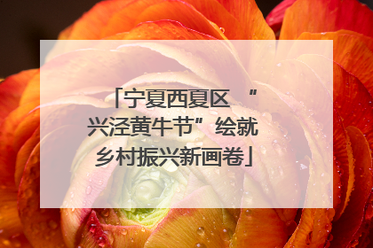 宁夏西夏区 “兴泾黄牛节”绘就乡村振兴新画卷