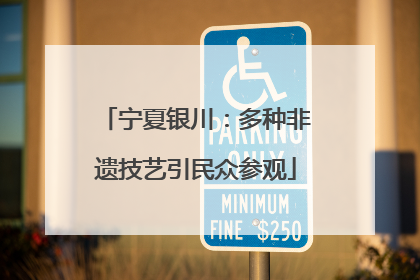 宁夏银川：多种非遗技艺引民众参观