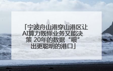 宁波舟山港穿山港区让AI算力既懂业务又能决策 20年的数据“喂”出更聪明的港口