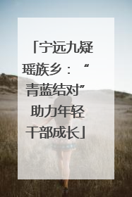 宁远九疑瑶族乡：“青蓝结对” 助力年轻干部成长