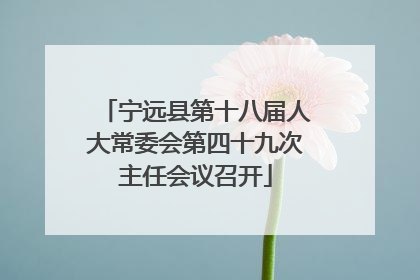 宁远县第十八届人大常委会第四十九次主任会议召开