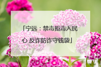 宁远：禁毒拒毒入民心 反诈防诈守钱袋