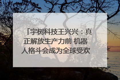 宇树科技王兴兴：真正解放生产力前 机器人格斗会成为全球受欢迎的赛事｜科技观察