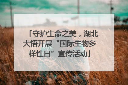 守护生命之美，湖北大悟开展“国际生物多样性日”宣传活动
