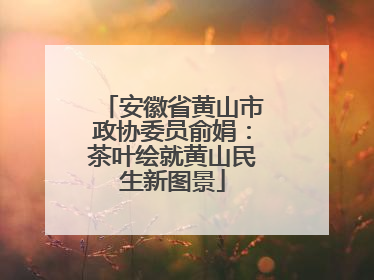 安徽省黄山市政协委员俞娟：茶叶绘就黄山民生新图景