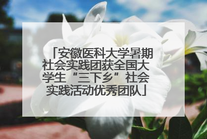 安徽医科大学暑期社会实践团获全国大学生“三下乡”社会实践活动优秀团队