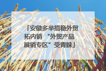 安徽多举措稳外贸拓内销 “外贸产品展销专区”受青睐