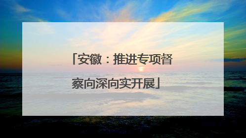安徽：推进专项督察向深向实开展