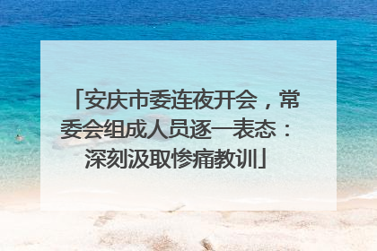 安庆市委连夜开会，常委会组成人员逐一表态：深刻汲取惨痛教训