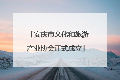 安庆市文化和旅游产业协会正式成立