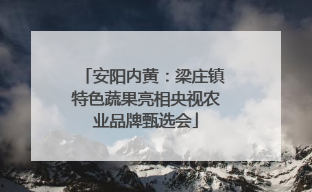 安阳内黄：梁庄镇特色蔬果亮相央视农业品牌甄选会