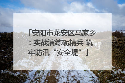 安阳市龙安区马家乡：实战演练砺精兵 筑牢防汛“安全堤”