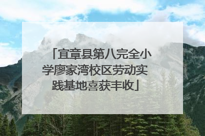 宜章县第八完全小学廖家湾校区劳动实践基地喜获丰收