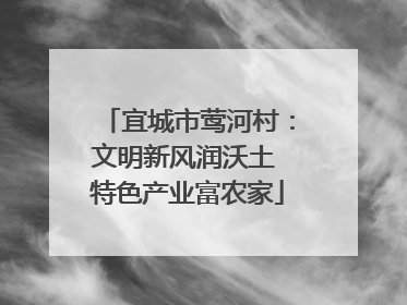 宜城市莺河村：文明新风润沃土 特色产业富农家