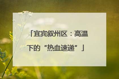 宜宾叙州区：高温下的“热血速递”