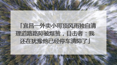 宜昌一外卖小哥顶风雨独自清理道路路障被爆赞，目击者：我还在犹豫他已经停车清障了