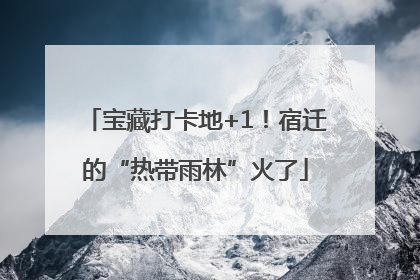 宝藏打卡地+1！宿迁的“热带雨林”火了