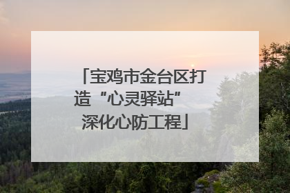 宝鸡市金台区打造“心灵驿站” 深化心防工程