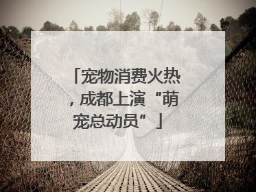 宠物消费火热，成都上演“萌宠总动员”