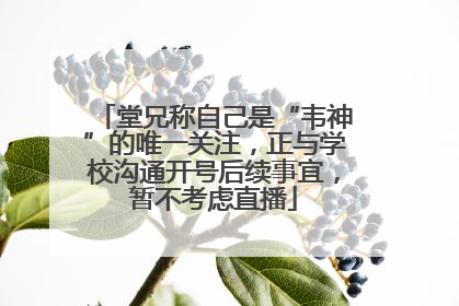 堂兄称自己是“韦神”的唯一关注，正与学校沟通开号后续事宜，暂不考虑直播