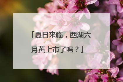 夏日来临，西湖六月黄上市了吗？