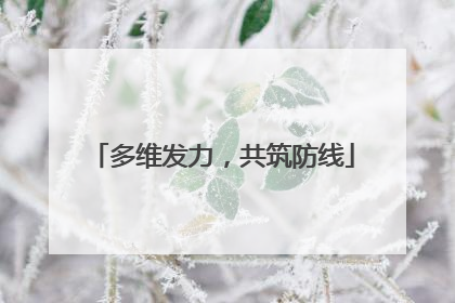 多维发力，共筑防线