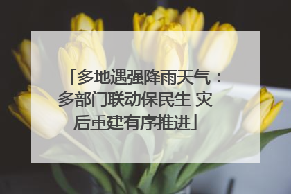 多地遇强降雨天气：多部门联动保民生 灾后重建有序推进