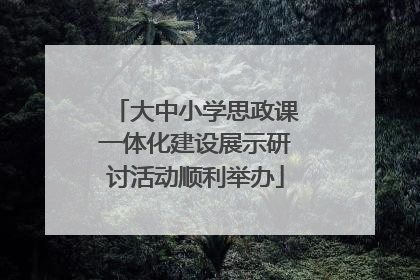 大中小学思政课一体化建设展示研讨活动顺利举办