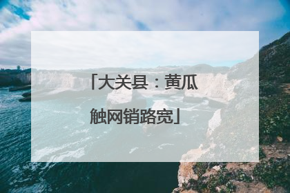 大关县：黄瓜触网销路宽