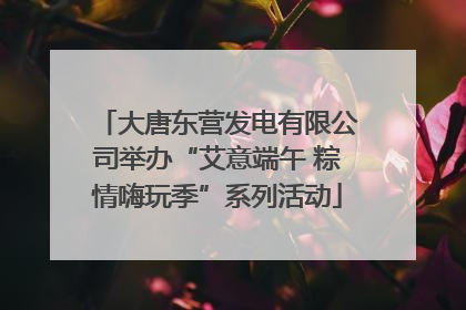 大唐东营发电有限公司举办“艾意端午 粽情嗨玩季”系列活动