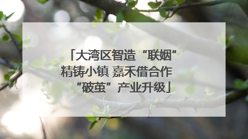 大湾区智造“联姻”精铸小镇 嘉禾借合作“破茧”产业升级